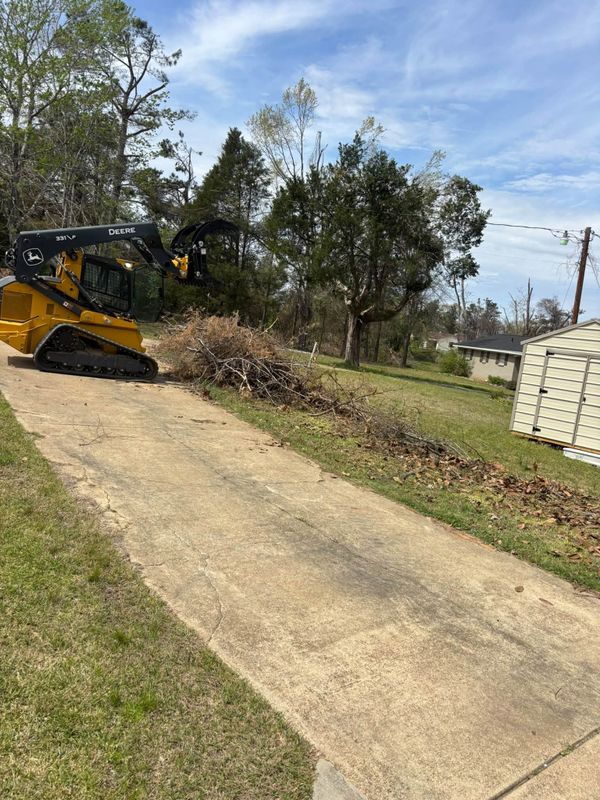 Tree Removal