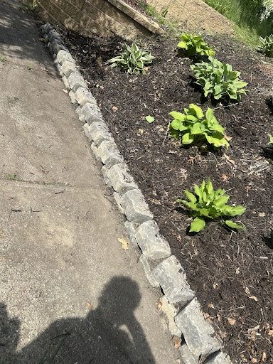 Flower Bed Gallery