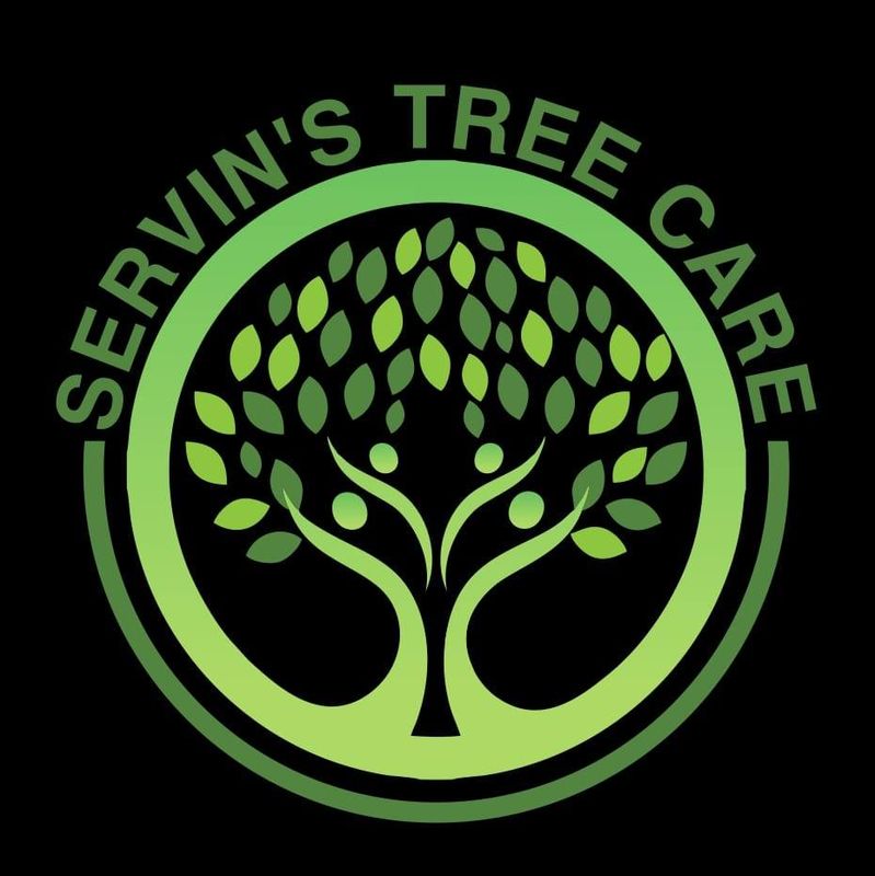 Tree Removal gallery