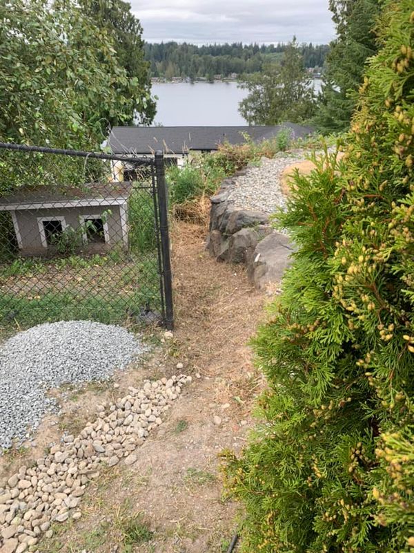 Hedge Trimming and Removal