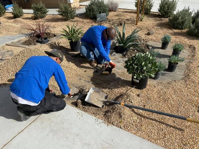Landscape Design