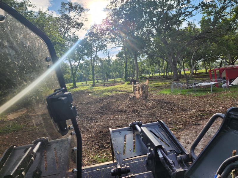 Land Clearing gallery