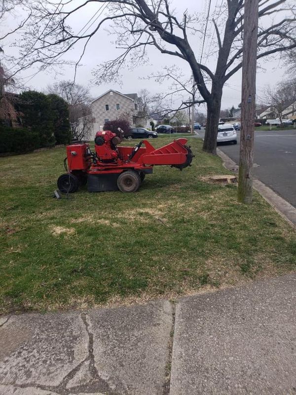 Stump Grinding and Removal