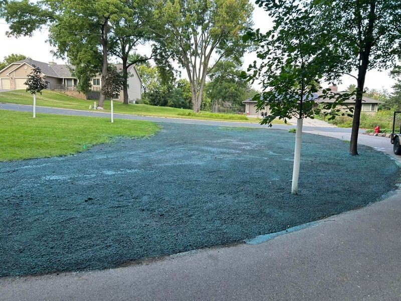 Hydroseeding