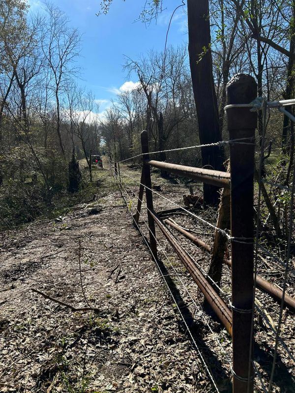 Fences
