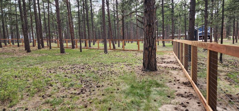 Commercial Fencing