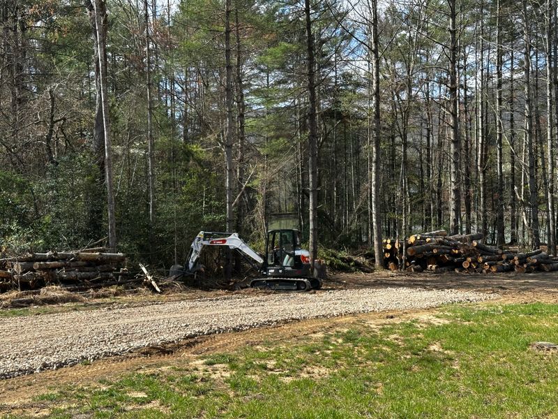Forestry & Timberland Services