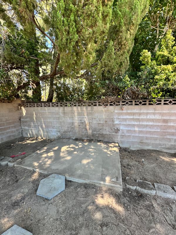 Shed Removal
