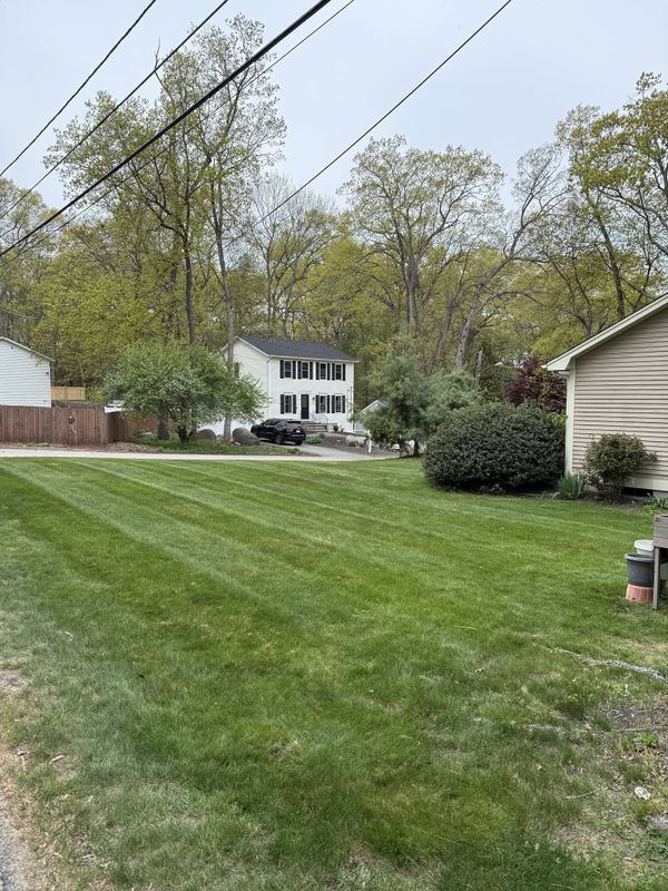 Tree & Shrub Care