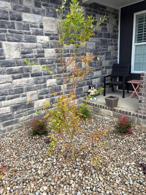 Shrub Trimming