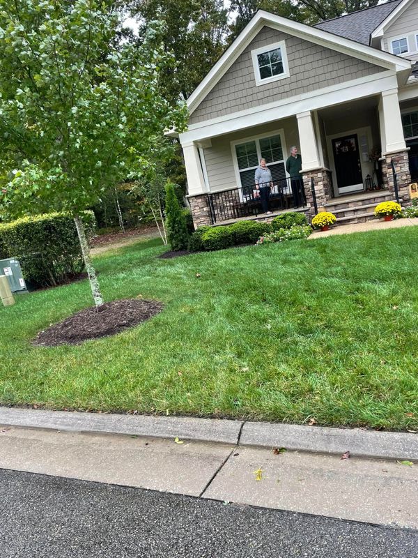Tree & Shrub Care