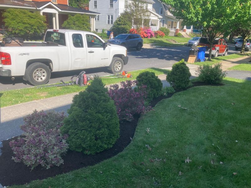 Landscape Design