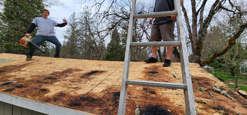 Shingle Roofing