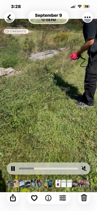 Pest Control Services
