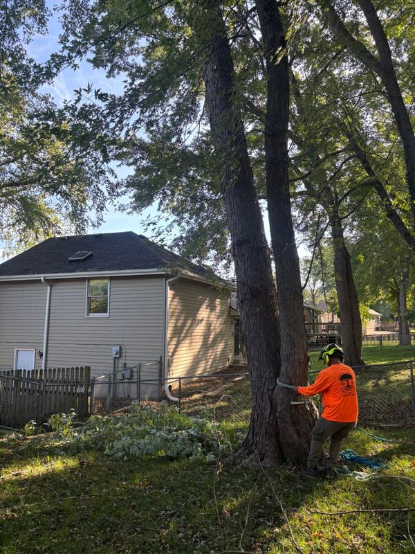 Fall Clean Up
