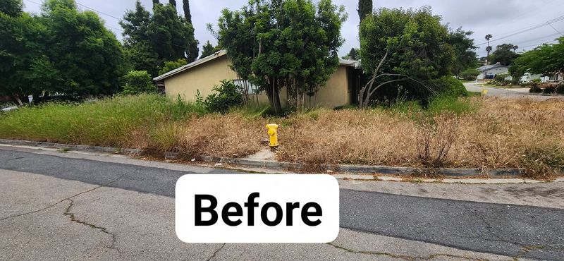 Lawn Maintenance