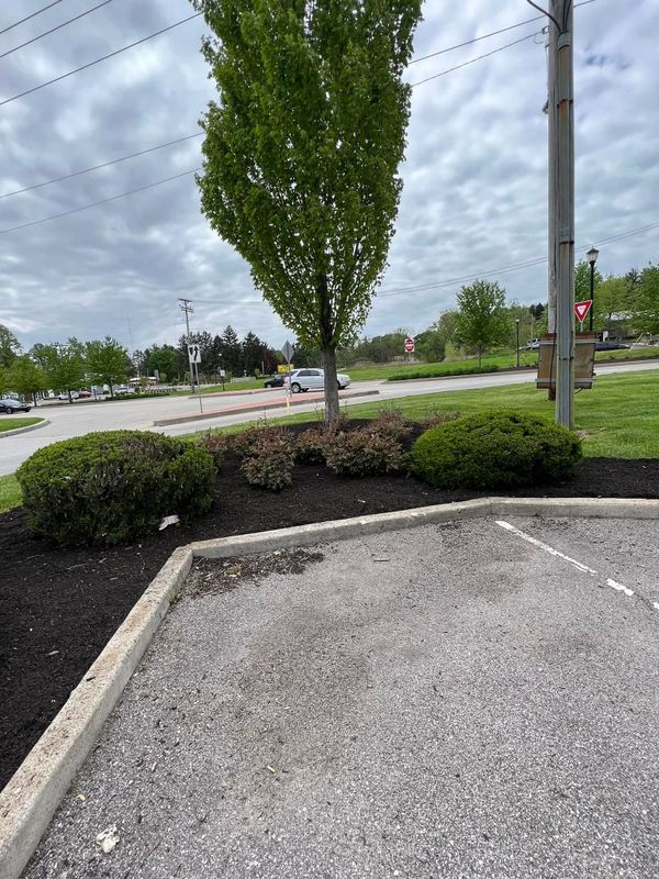 Landscaping