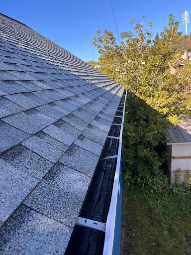 Roof Cleaning