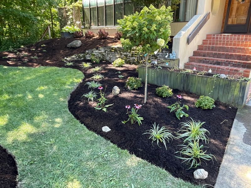 Landscape Installation
