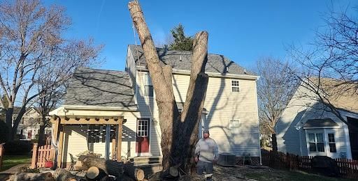 Emergency services and Storm Damage