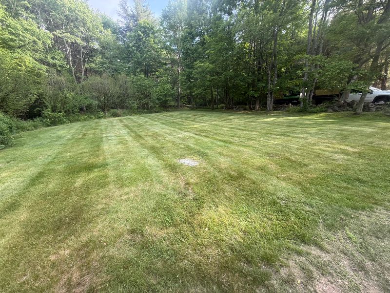 Mowing