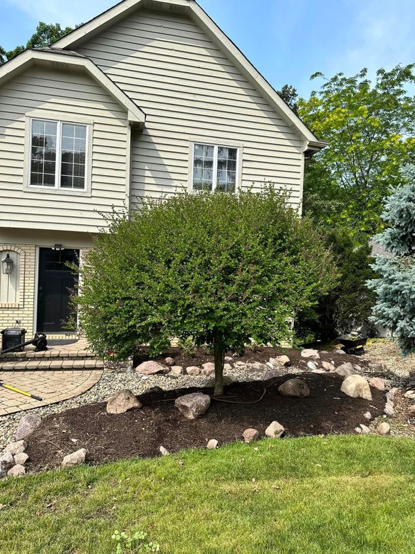 Gutter Clean Out 