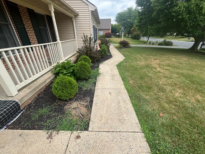 Landscaping
