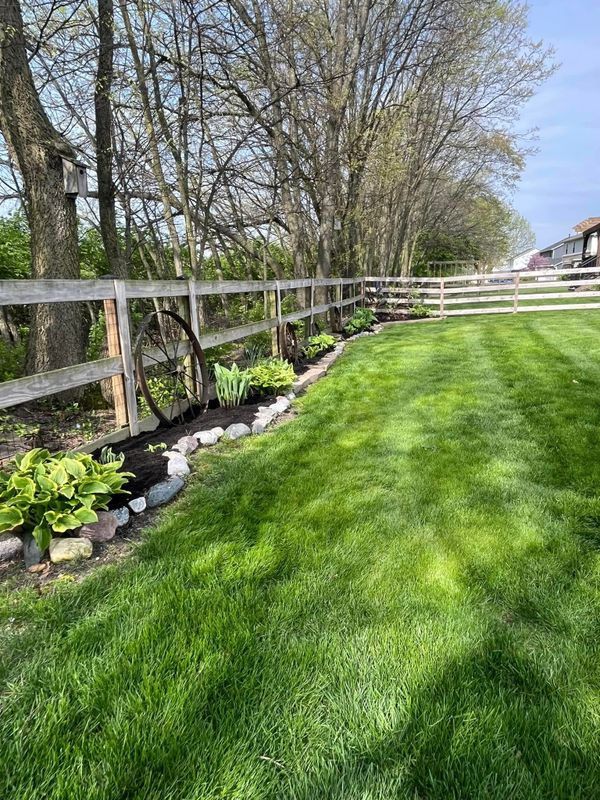 Lawn Mowing