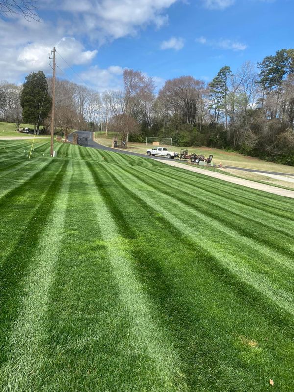 Lawn Care