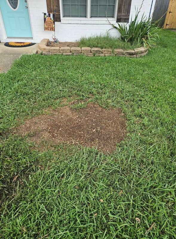 Stump Grinding