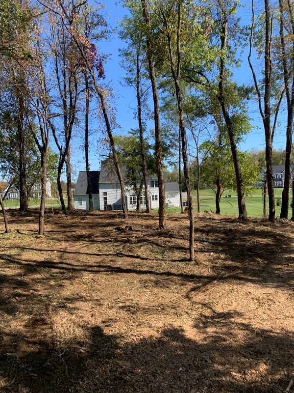 Land Clearing