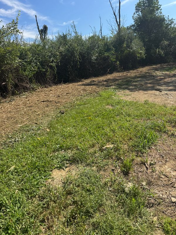 Land Clearing