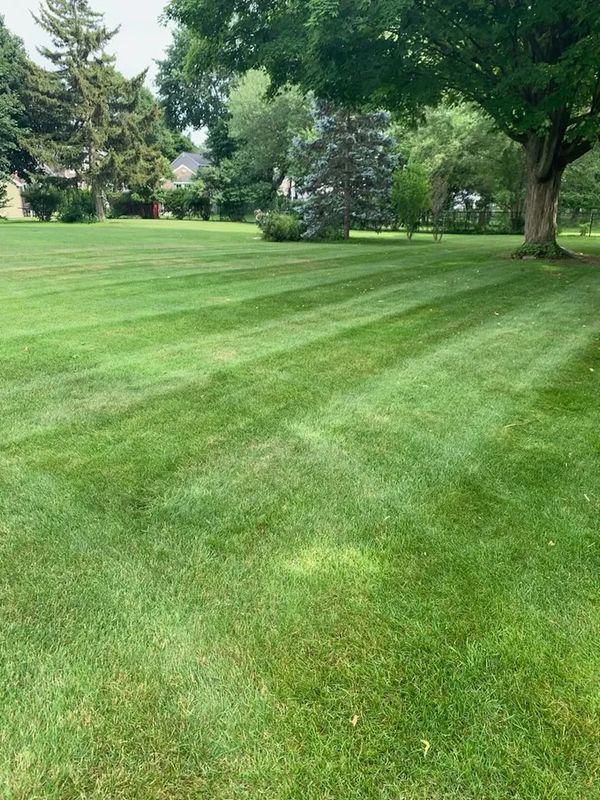 Landscaping and Grass Seeding