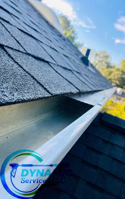 Roof and Gutter Cleaning