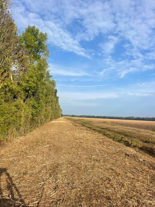 Land Clearing gallery
