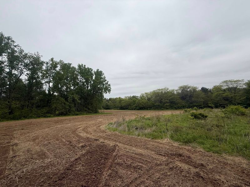 Grading and Leveling