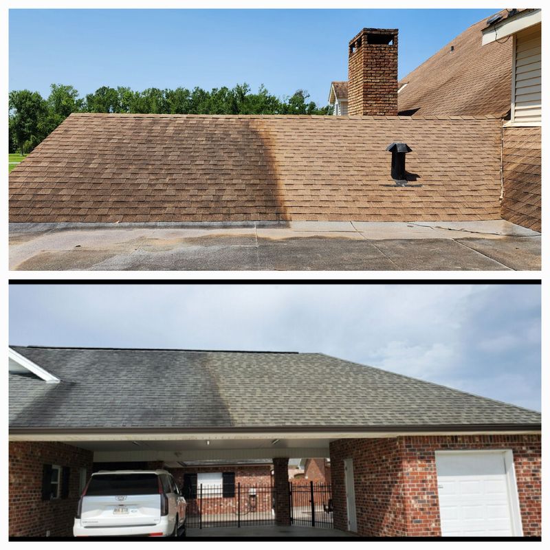 Roof Cleaning