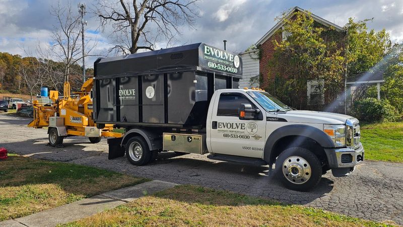 Tree Removal