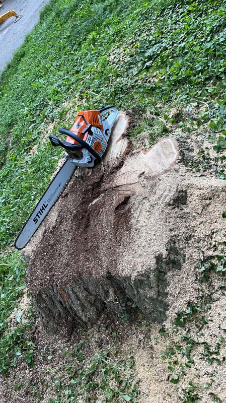Hardscaping