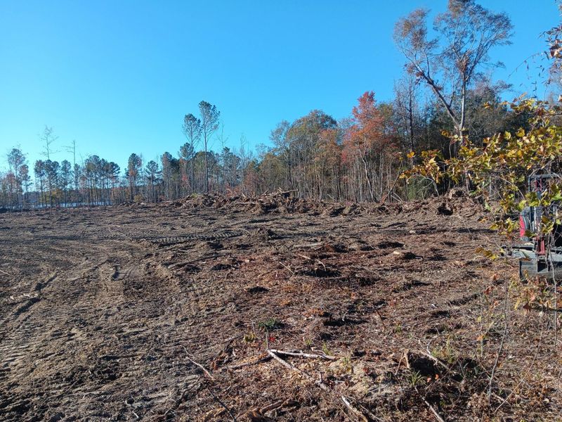 Septic leach fields