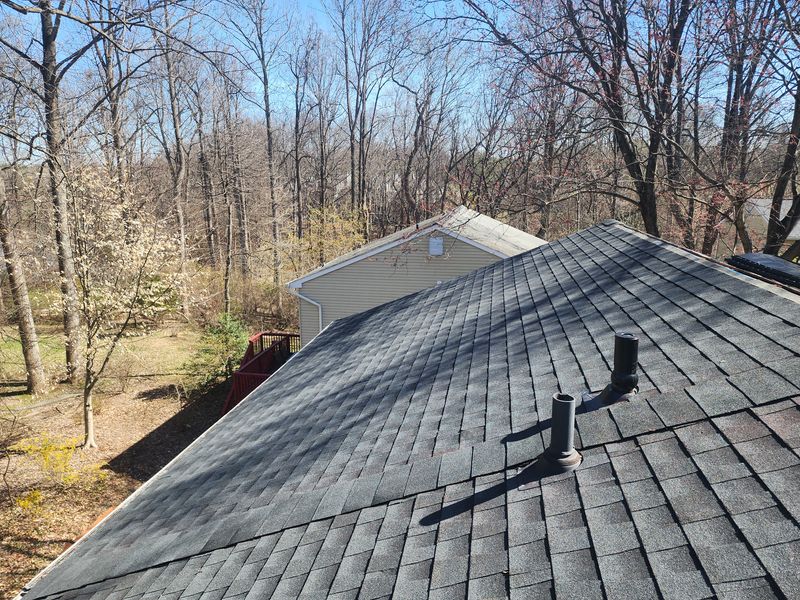 Roof Maintenance