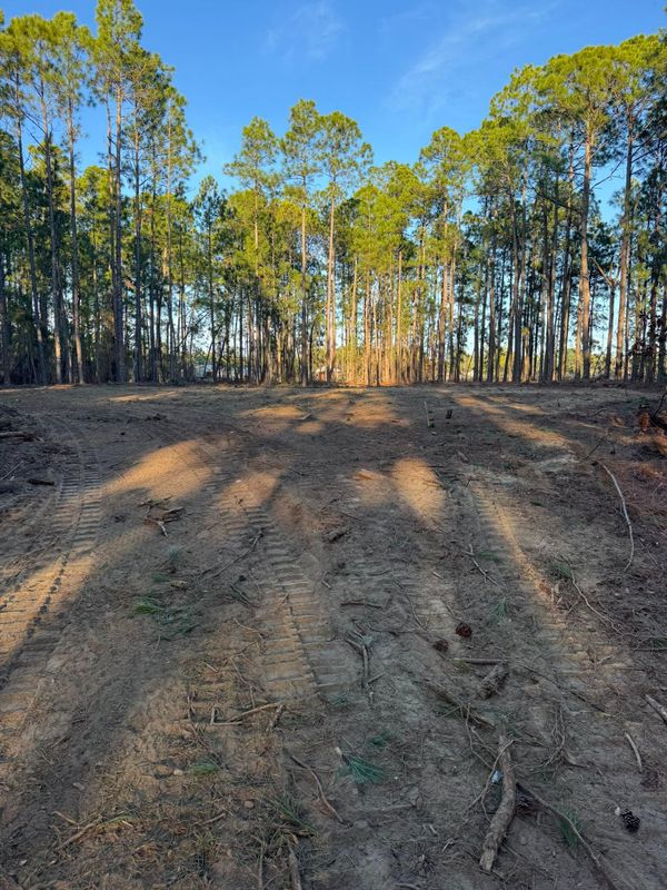 Forestry Mulching