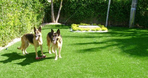 Landscape Lighting and Artificial Turf