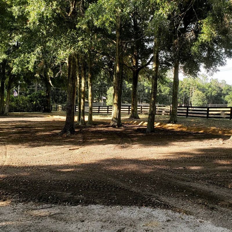 Forestry Mulching
