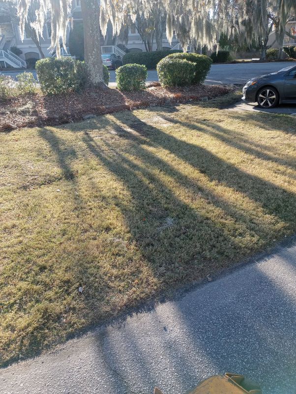Tree & Shrub Care