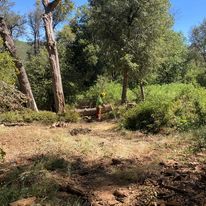 Property Clean Up