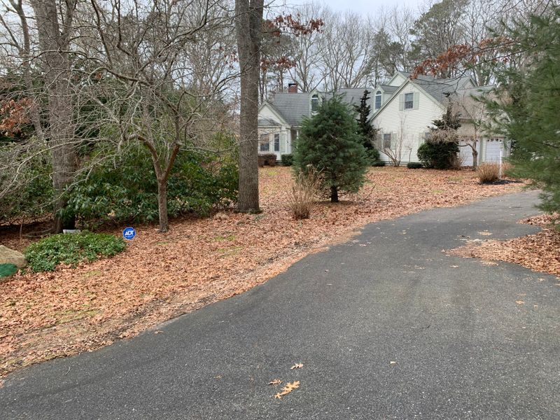 Fall CleanUp