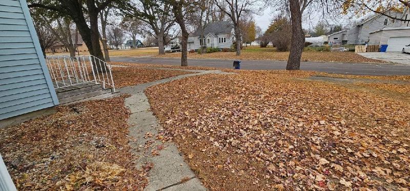 Fall Clean Up / Spring Clean Up
