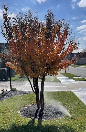 Irrigation System Repair