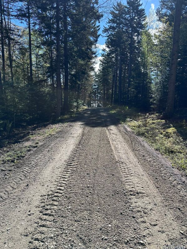 Site Preparation